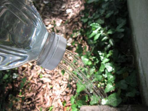 100 DIY Plastic Bottle Ideas 6