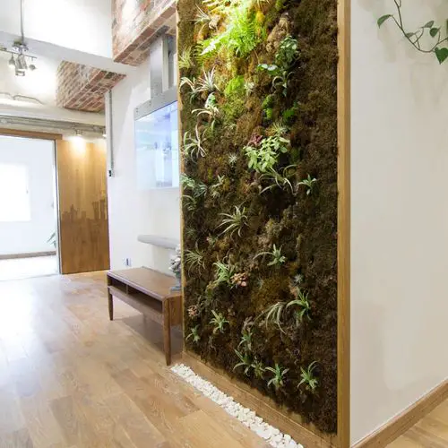 Green Ideas for Modern Wall Decoration 6
