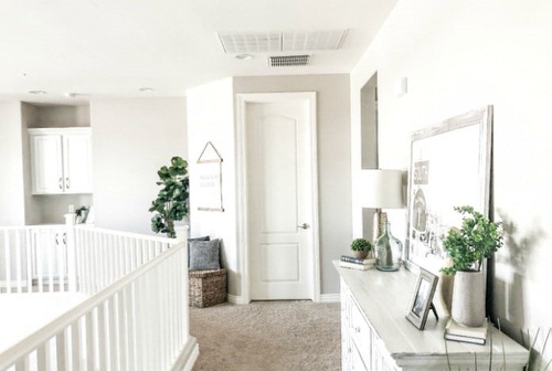 Hallway Decor Ideas with Plants 6