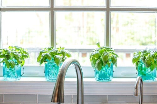 Indoor Plant Propagation Station Ideas 6