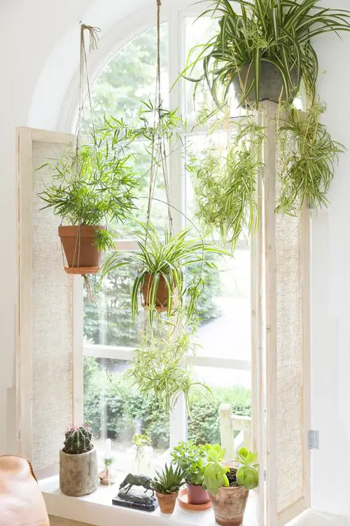 Indoor Plants Bedroom Window Garden Ideas 6