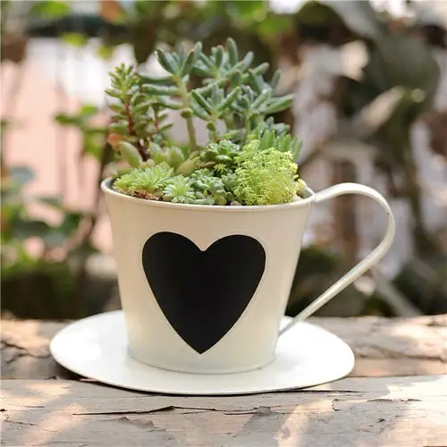 Coffee Mug Planter Ideas 5