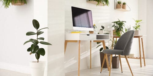 Indoor Plant Home Office Ideas 5