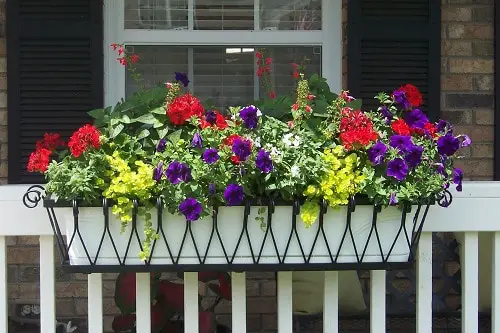 Hanging Planter Ideas for Your Balcony 16