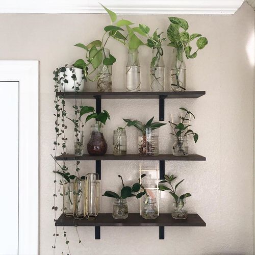 Indoor Plant Propagation Station Ideas 8