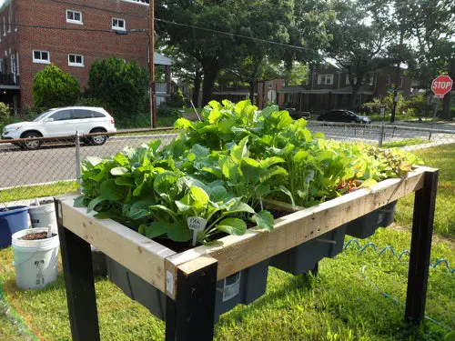 DIY Salad Table Ideas
