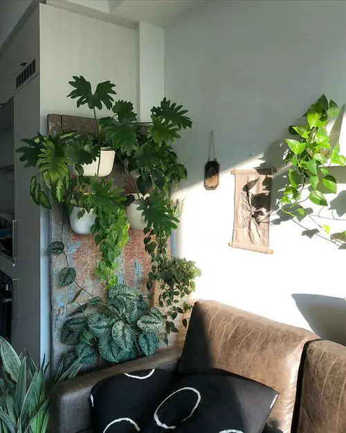 Green Ideas for Modern Wall Decoration