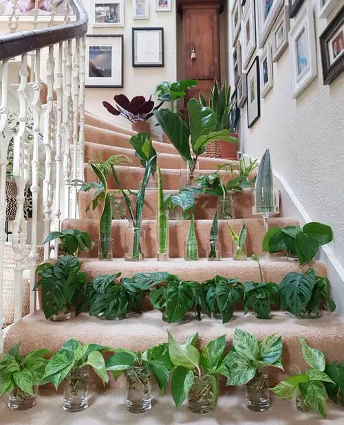 Indoor Plant Propagation Station Ideas 77