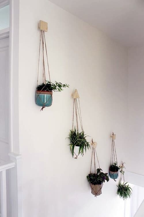 Wall Hanging Plant Decor Ideas
