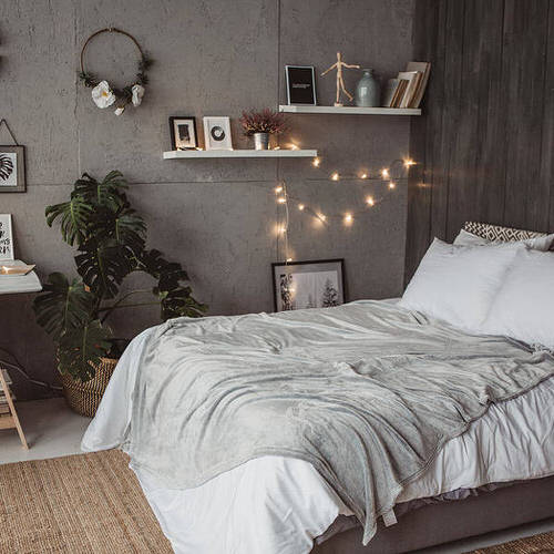 How Indoor Plants Help You Sleep Better