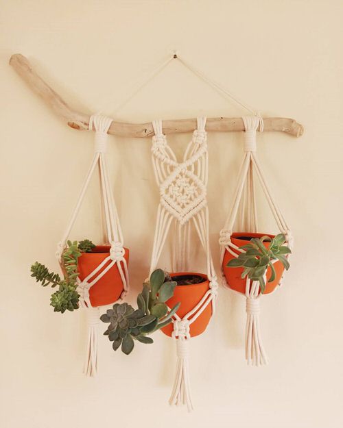 Wall Hanging Plant Decor Ideas 15