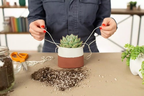 100 DIY Plastic Bottle Ideas 13