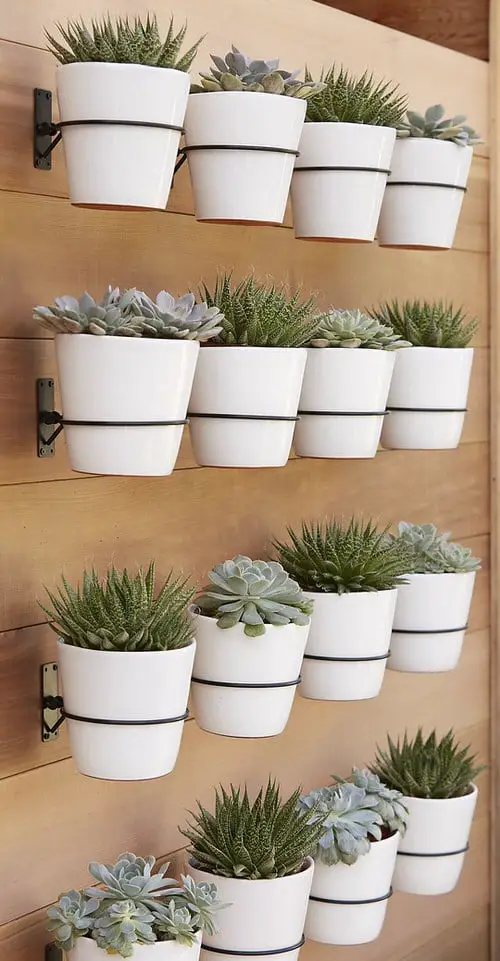 Wall Hanging Plant Decor Ideas 6