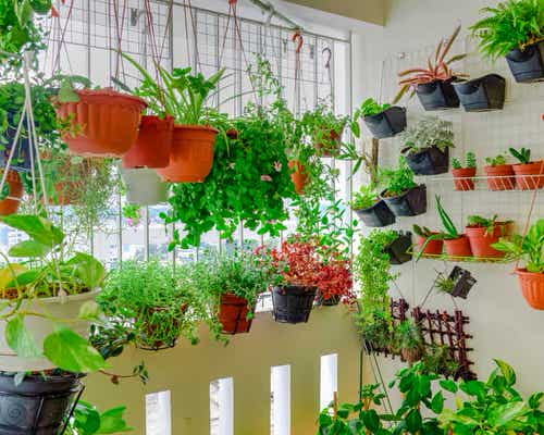 Hanging Planter Ideas for Your Balcony 5