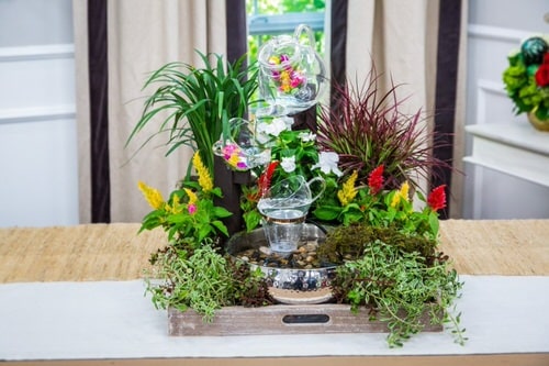 DIY Table Top Water Garden 2
