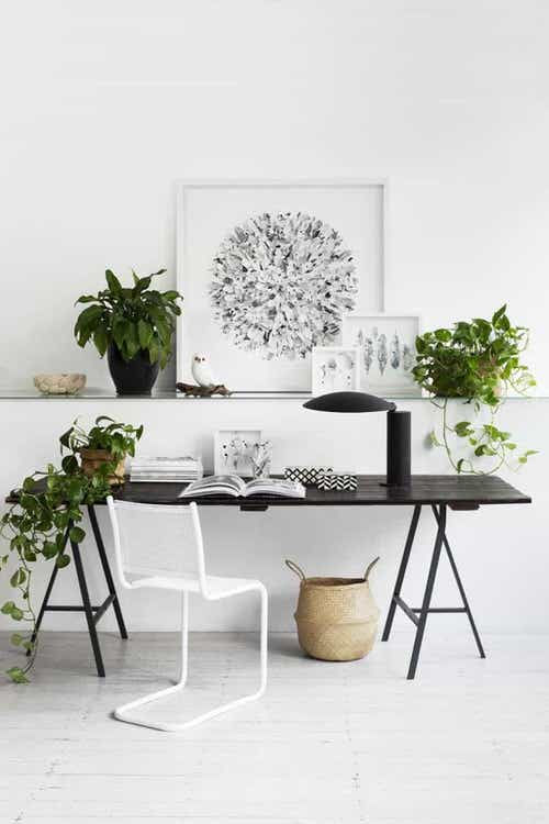 Indoor Plant Home Office Ideas 2
