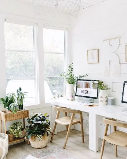 Indoor Plant Home Office Ideas 3