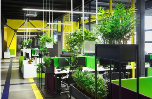 Office Plant Decor for Green Working Environment 8