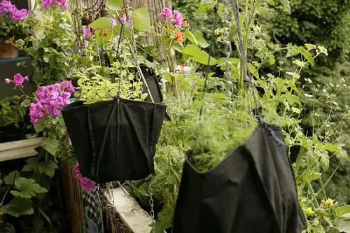 Hanging Planter Ideas for Your Balcony 8