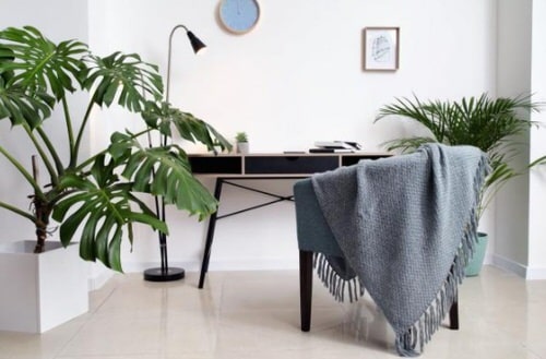 Office Plant Decor for Green Working Environment 7