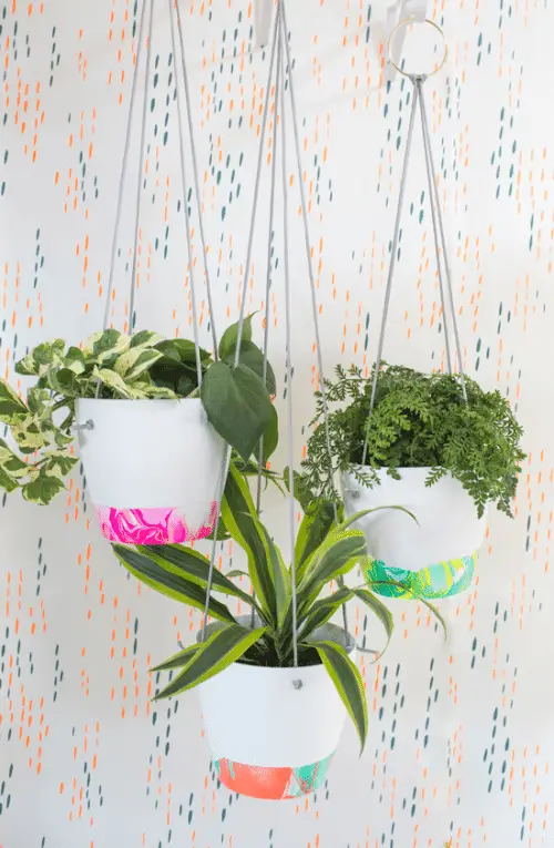 DIY Coffee Mug Hanging Planter