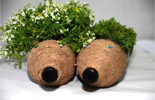 100 DIY Plastic Bottle Ideas 36