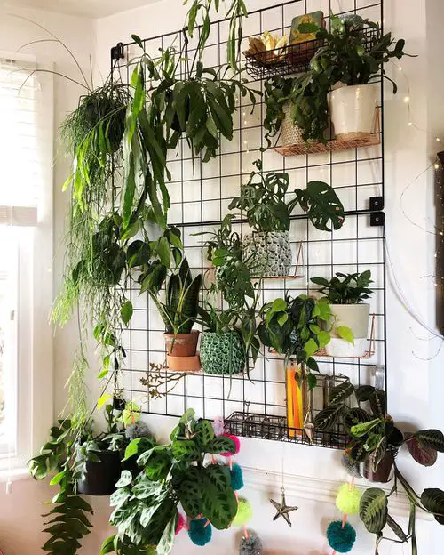 Green Ideas for Modern Wall Decoration 4