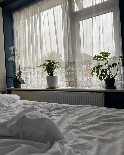 Indoor Plants Bedroom Window Garden Ideas 4
