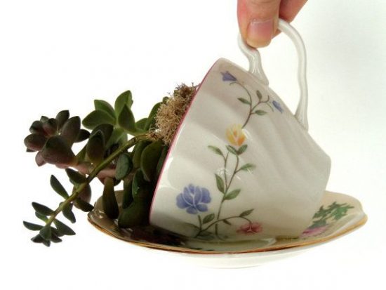 Spilled Cup Succulent Planter