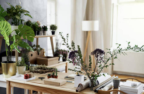 Indoor Plant Home Office Ideas 4