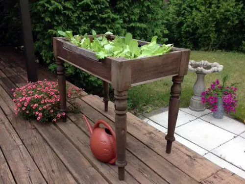 DIY Salad Table Ideas 5