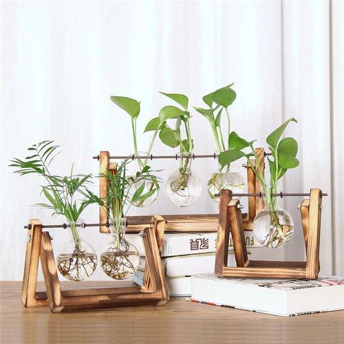 Indoor Plant Propagation Station Ideas 5