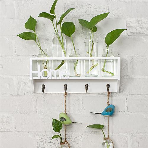 Glass Tubes and Jars Vertical Garden Ideas 5