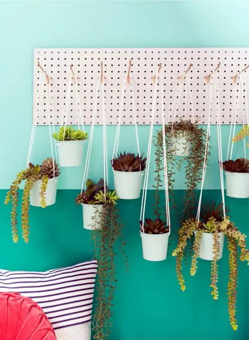 Wall Hanging Plant Decor Ideas 5