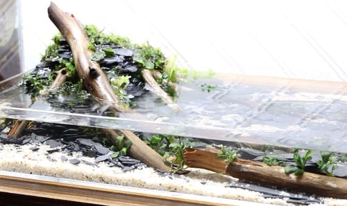 DIY Waterfall Indoor Garden Ideas