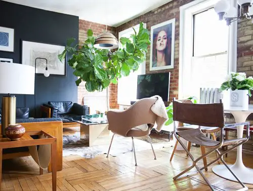 Indoor Fiddle Leaf Fig Decor Ideas 4