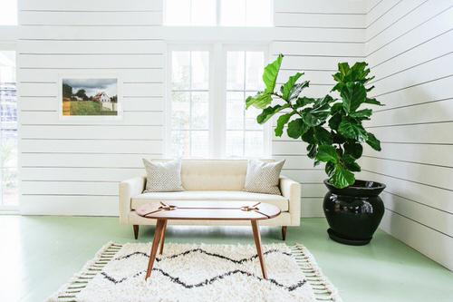 Indoor Fiddle Leaf Fig Decor Ideas 28