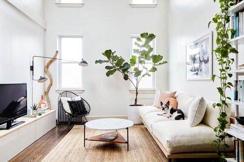 Indoor Fiddle Leaf Fig Decor Ideas 29