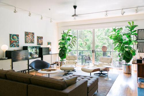 Indoor Fiddle Leaf Fig Decor Ideas 30