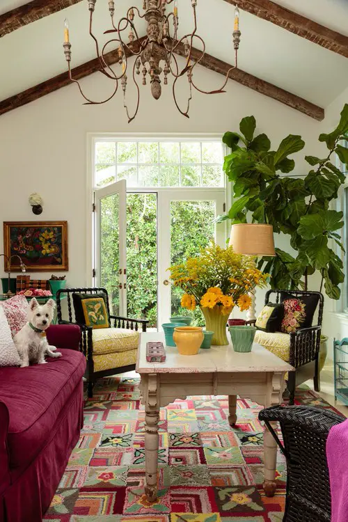 Indoor Fiddle Leaf Fig Decor Ideas 26