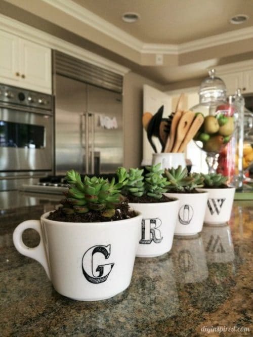 Repurposed Coffee Cup Succulent Garden