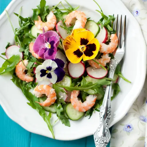 How to Grow Your Garnish in Containers