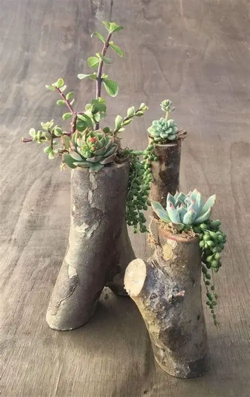 Succulent Porch Garden Ideas 10