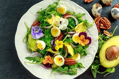 How to Make a Garnish Garden in Containers