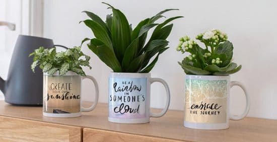 Coffee Mugs with Plants