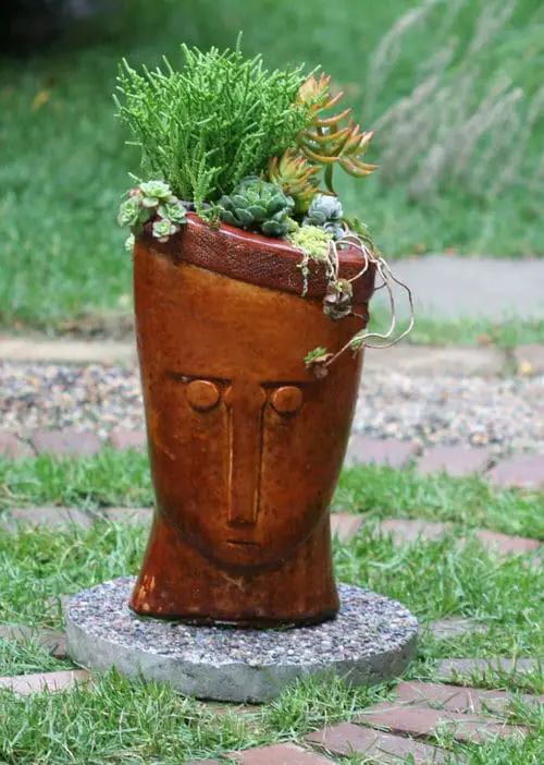 Spiller Filler Thriller Succulents 3