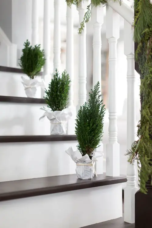 Indoor Garden on the Staircase 7