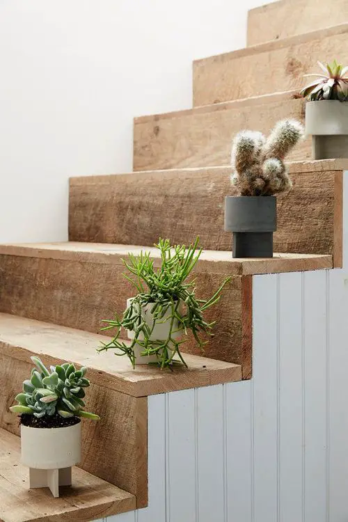 Indoor Garden on the Staircase 3