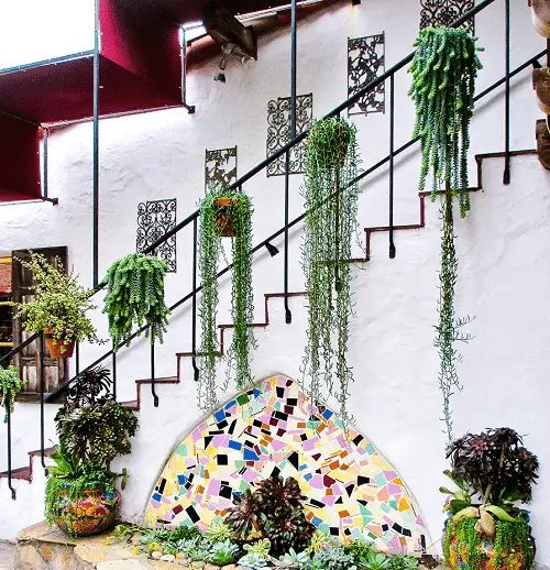 Indoor Garden on the Staircase 2