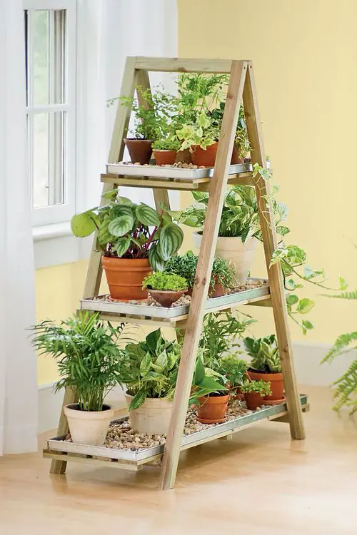 Small Wooden Stand 